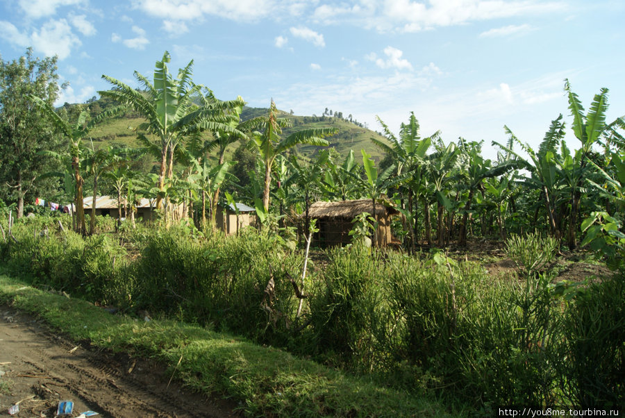деревня у подножия гор Рвензори Маунтинс Национальный Парк, Уганда