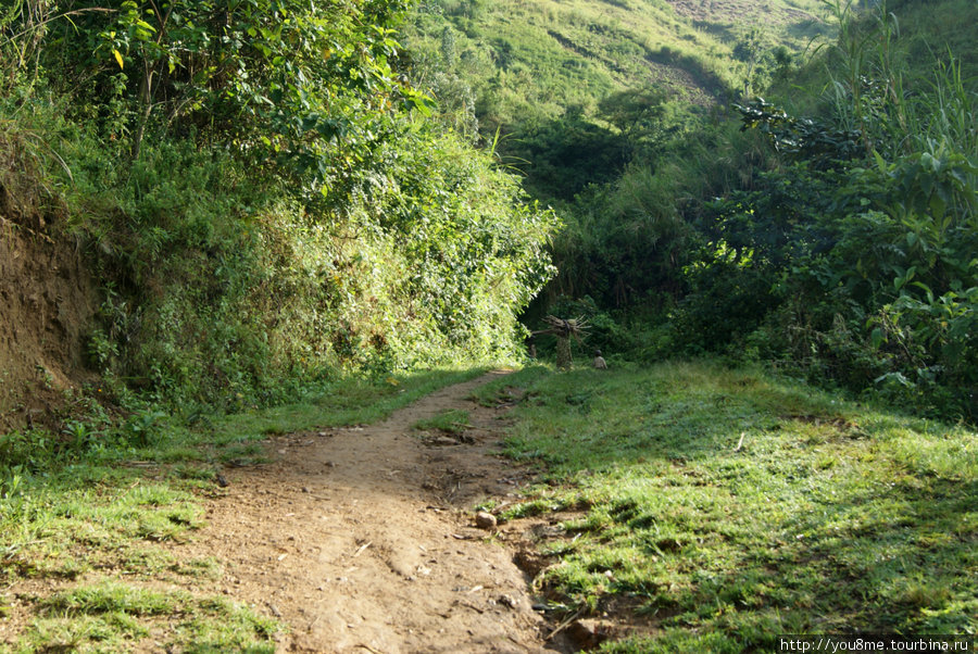 жители деревни Рвензори Маунтинс Национальный Парк, Уганда