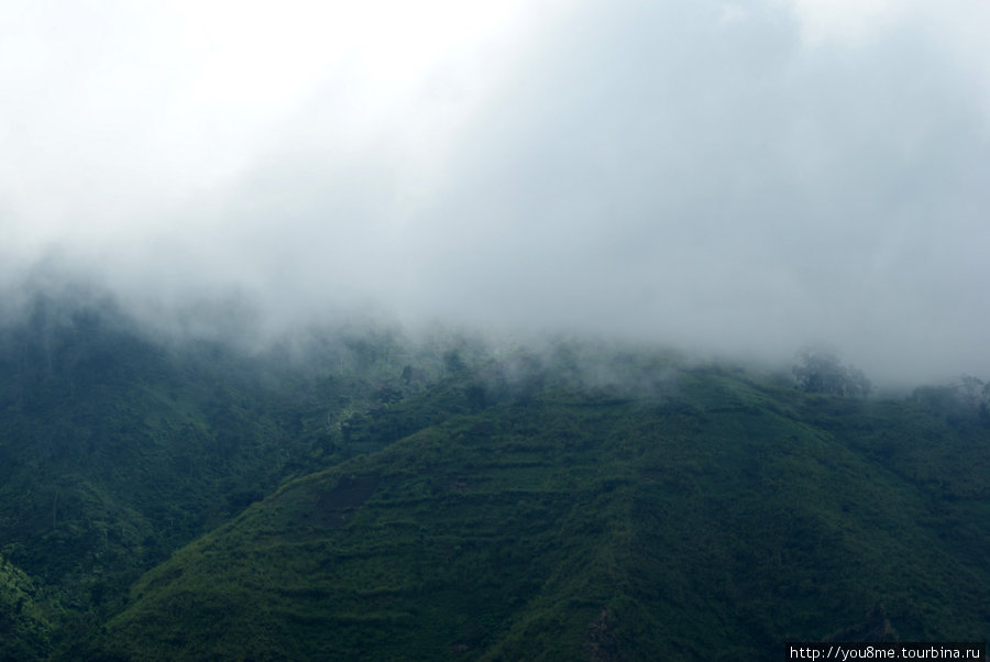 Rwenzori — (в пер.) творец дождя Рвензори Маунтинс Национальный Парк, Уганда