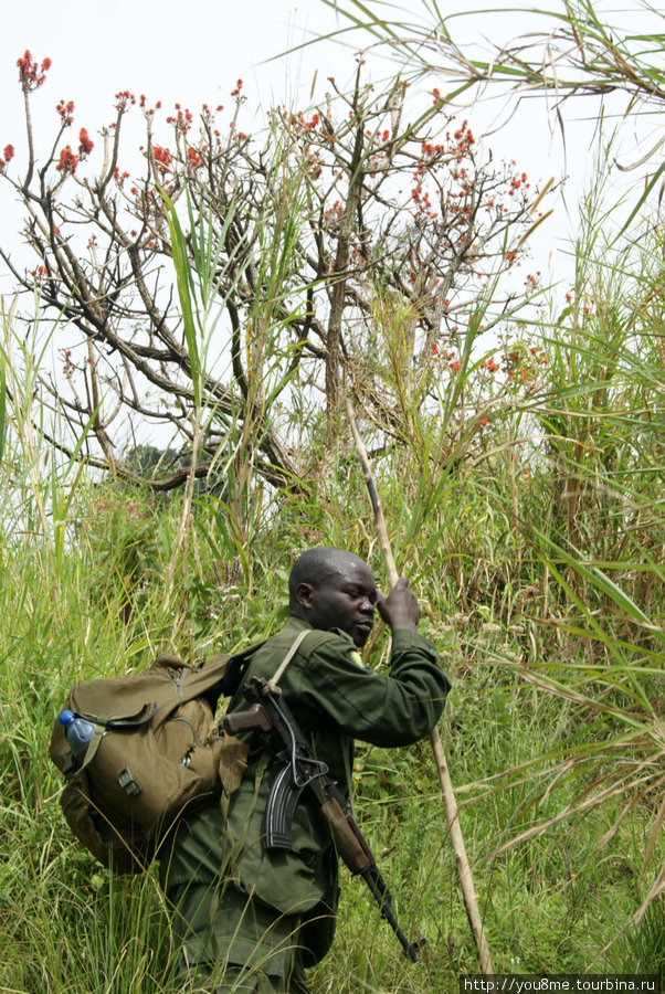 он тоже устал) Рвензори Маунтинс Национальный Парк, Уганда