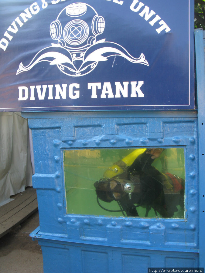 Тоже экспонат — живой подводник в большом аквариуме Коломбо, Шри-Ланка