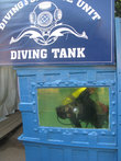 Тоже экспонат — живой подводник в большом аквариуме