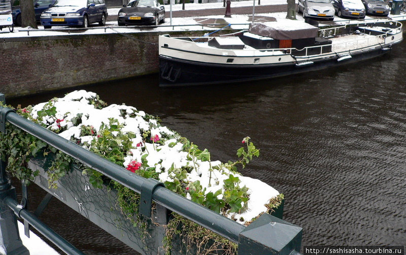 Быстрый морозный Амстердам Амстердам, Нидерланды