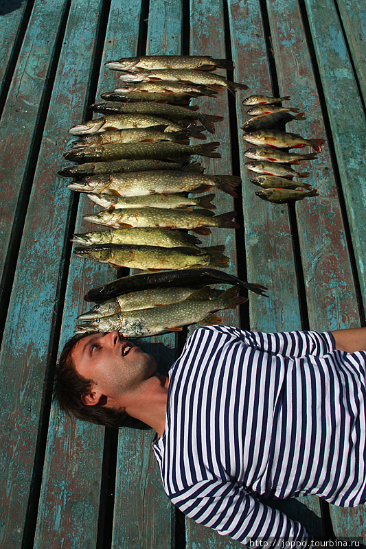 Рыбалка в Астрахани Астраханская область, Россия