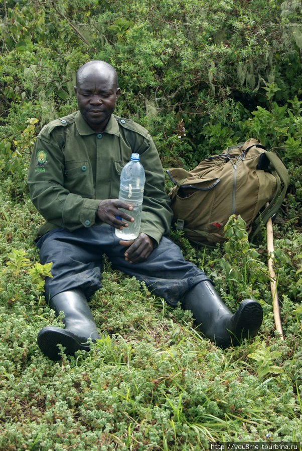 наш проводник здесь — 21-ый раз Рвензори Маунтинс Национальный Парк, Уганда