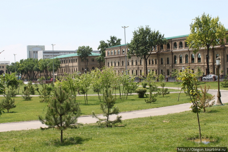 После вырубки вековых дубов сквер стал больше похож на площадь Ташкент, Узбекистан