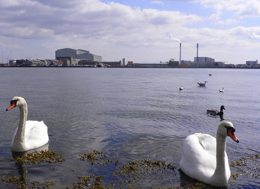 Письмо бронзовой русалке в Копенгаген Копенгаген, Дания