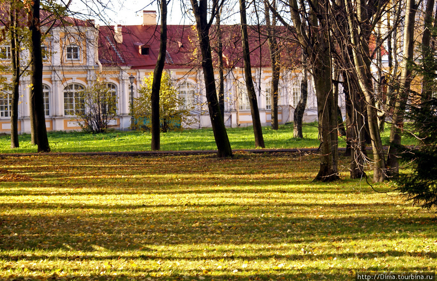 Солнечная лужайка Санкт-Петербург, Россия