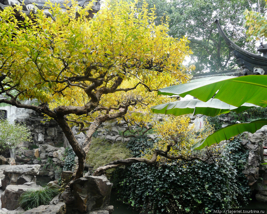 Сад Радости Шанхай, Китай