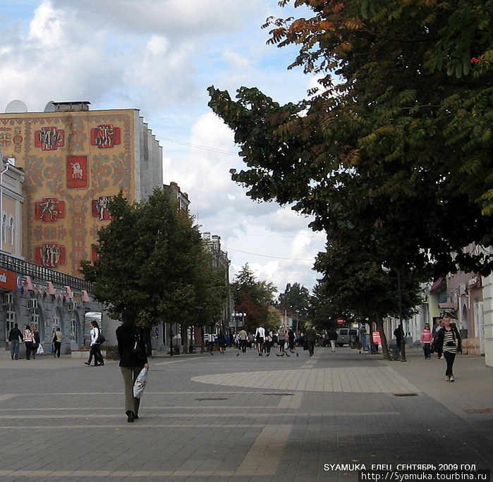 Улица Мира — бывшая Торговая улица — пешеходная, самая оживленная и одна из самых интересных улиц Ельца. Елец, Россия