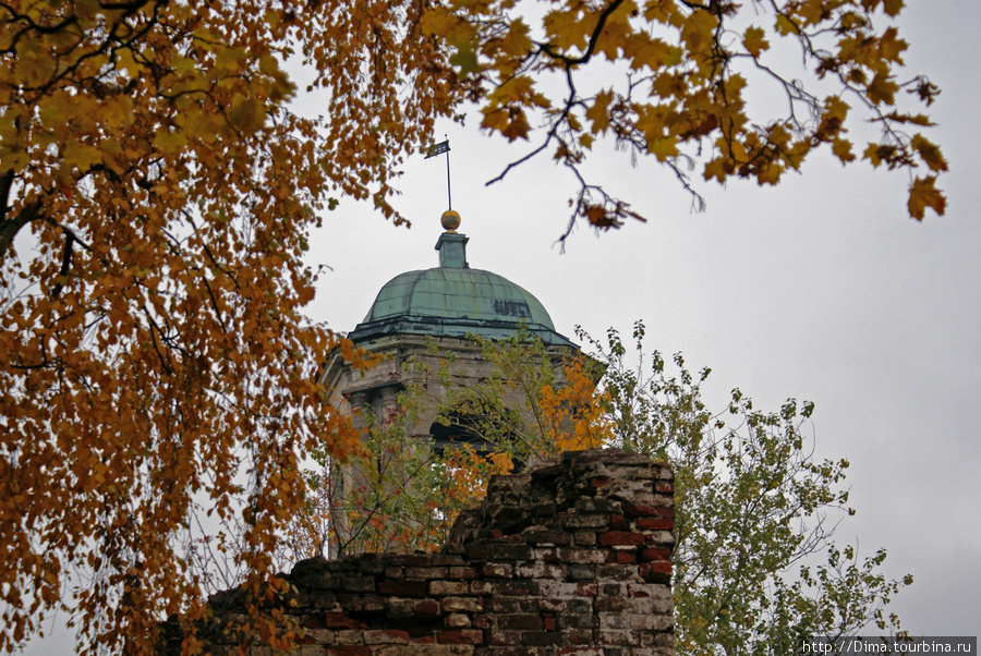 Осенний город с высоты часовой башни Выборг, Россия
