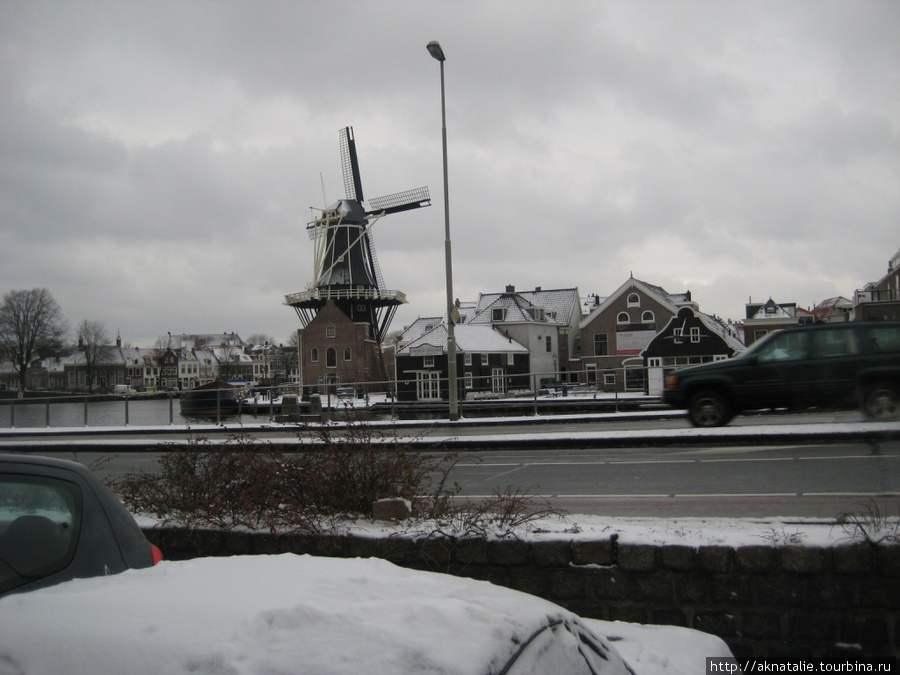 Haarlem - пригород Амстердама Амстердам, Нидерланды