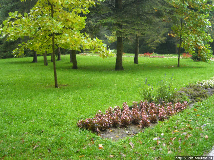 Парк во время дождя Мишкольц, Венгрия