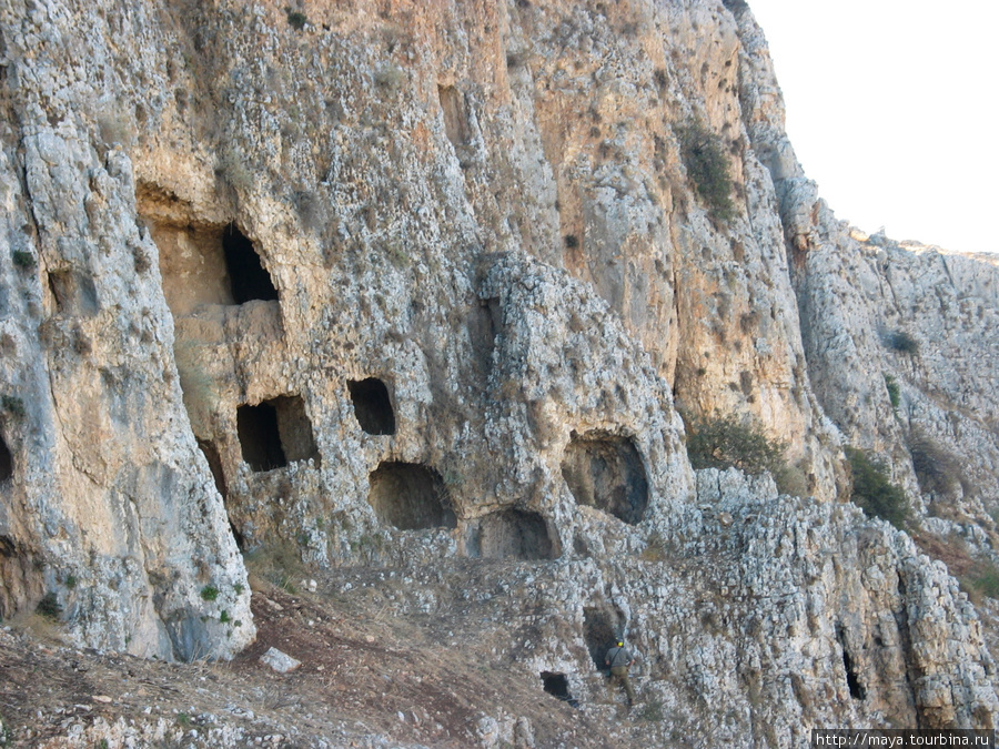 Весь северный склон горы изрыт карстовыми пещерами Хамам, Израиль