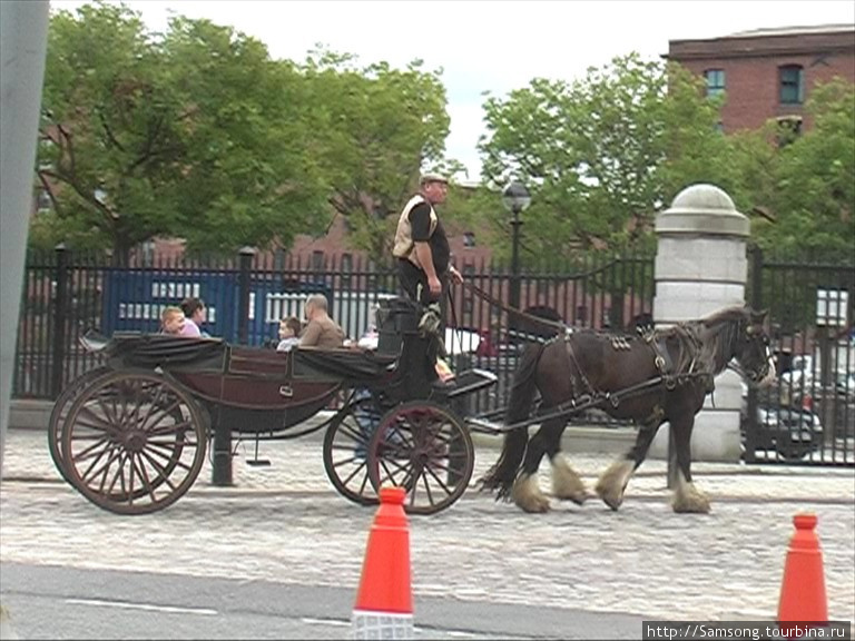 Коняга в клешах везёт карету с туристами. Ливерпуль, Великобритания
