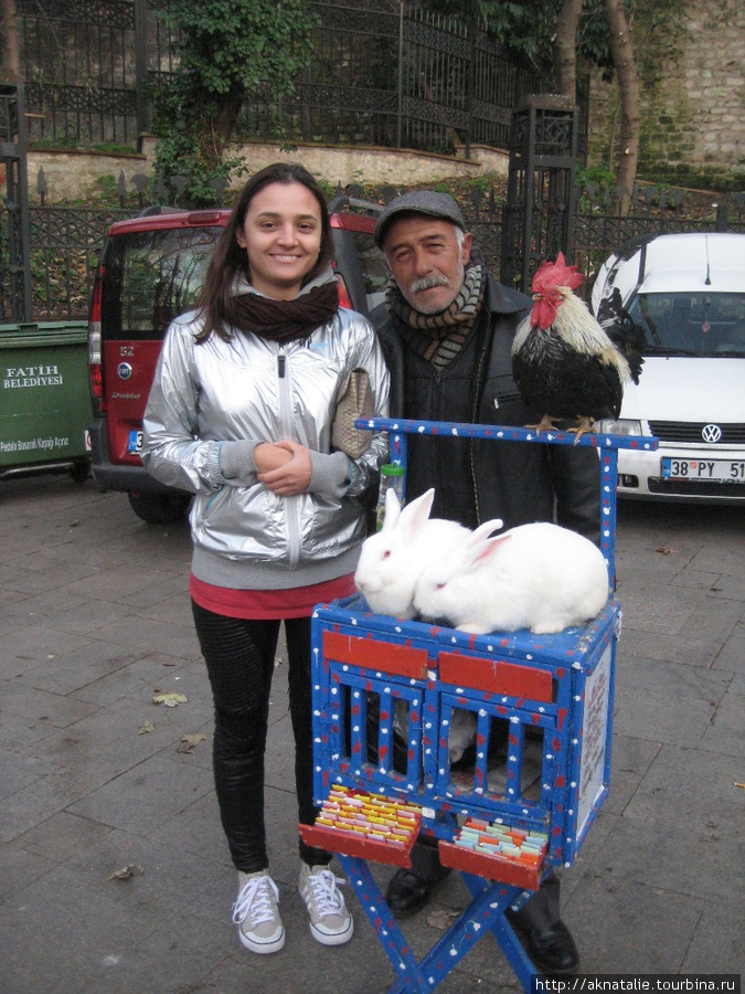 Дедушка, кролик и петух Стамбул, Турция