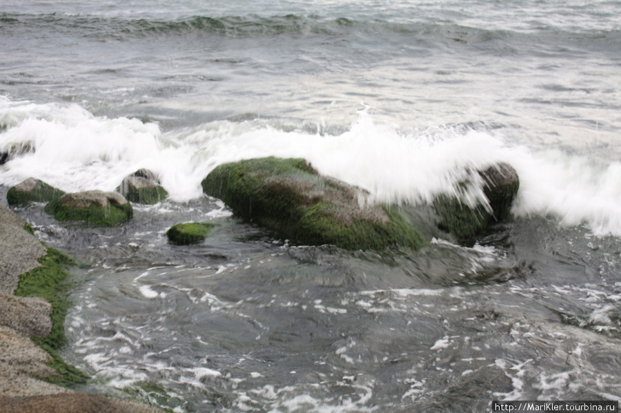 Болгария,Черноморец,черное море-2010г. Черноморец, Болгария