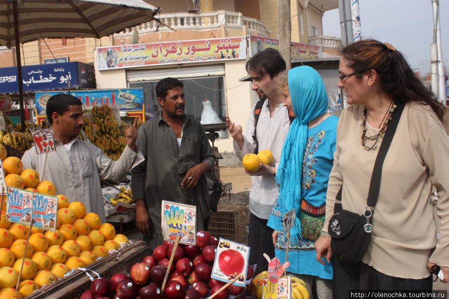 нас хотели надуть, утверждая что 3 фунта стоит 1 апельсин, а не килограмм! Каир, Египет
