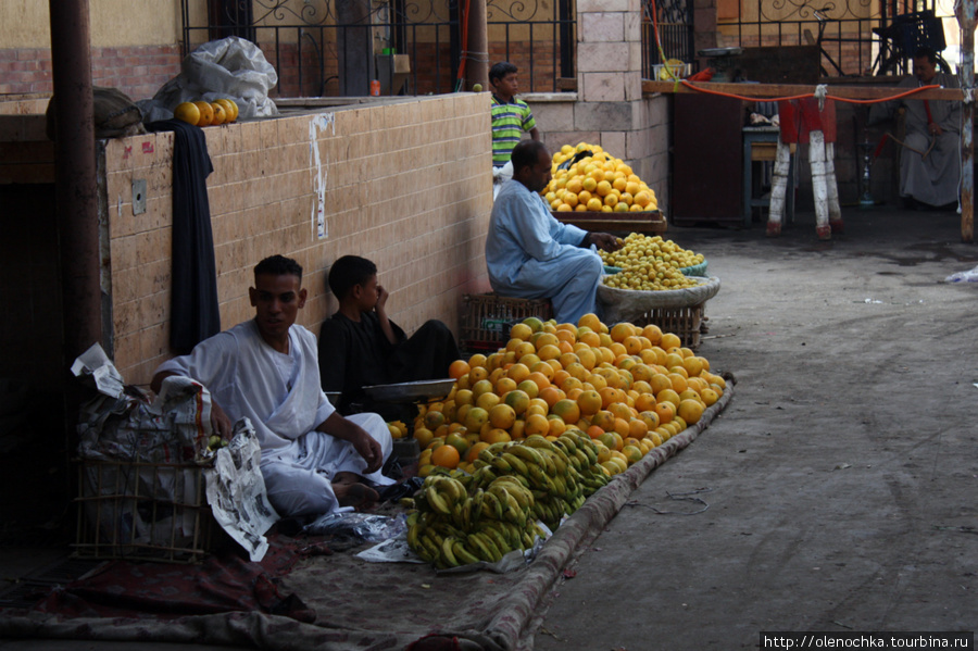апельсины Каир, Египет