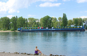 Запорожская русалка на берегу Рейна.