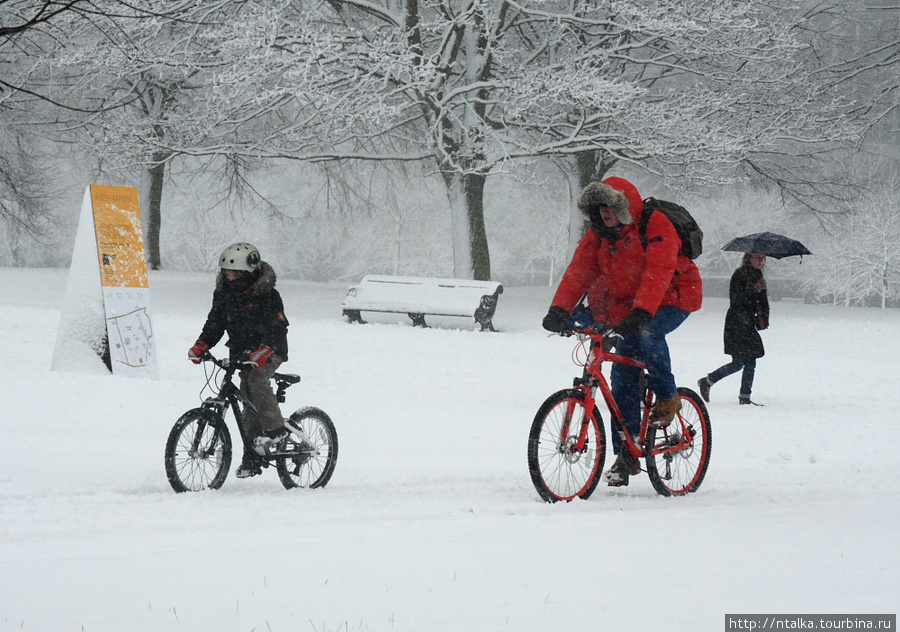 Зима какие велосипеды. Катание на велосипеде зимой. Велосипед по снегу. Зимний велосипед детский. Детский велосипед зимой.