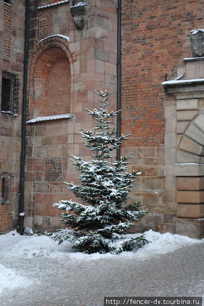 Рождество ждут и в замке Нюрнберг, Германия