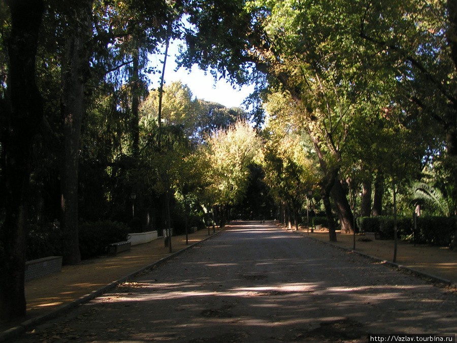 Одна из аллей парка Севилья, Испания