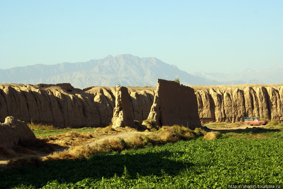 Огород внутри крепости Кашан, Иран