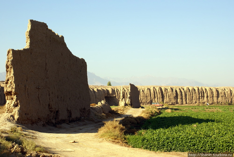 Фрагмент стены Кашан, Иран