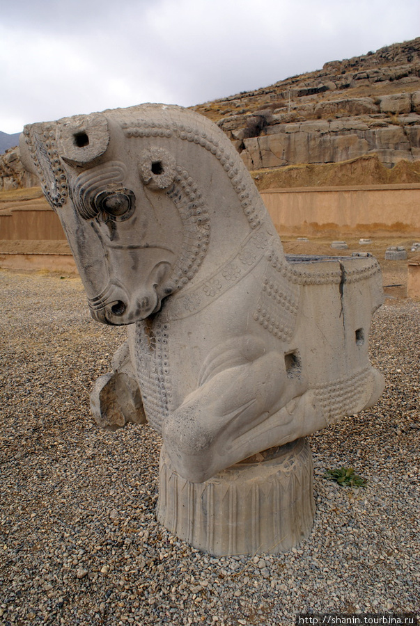 Половинка каменного коня Персеполь древний город, Иран