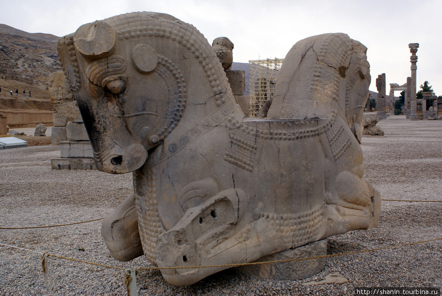 Кони Персеполь древний город, Иран