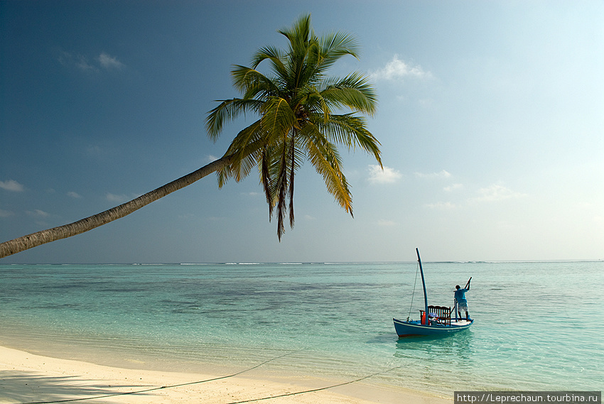 Страна вечного равноденствия Мальдивские острова