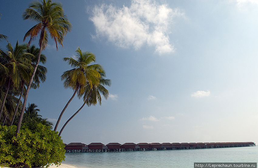 Страна вечного равноденствия Мальдивские острова