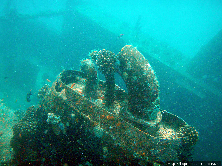 Подводные Мальдивы Мальдивские острова