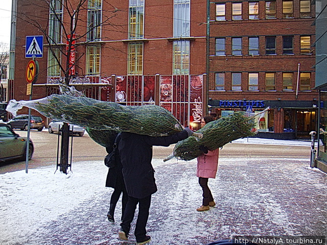 Как празднуется Рождество в Финляндии. Сейлы. Зимняя война. Хельсинки, Финляндия
