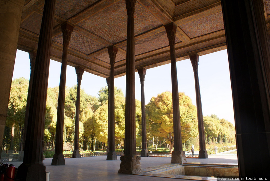 Лес деревянных колонн Исфахан, Иран