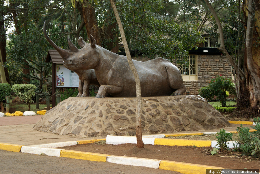носороги Найроби, Кения
