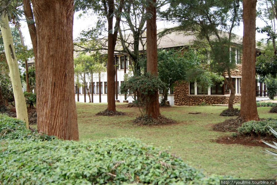 дом за деревьями Найроби, Кения