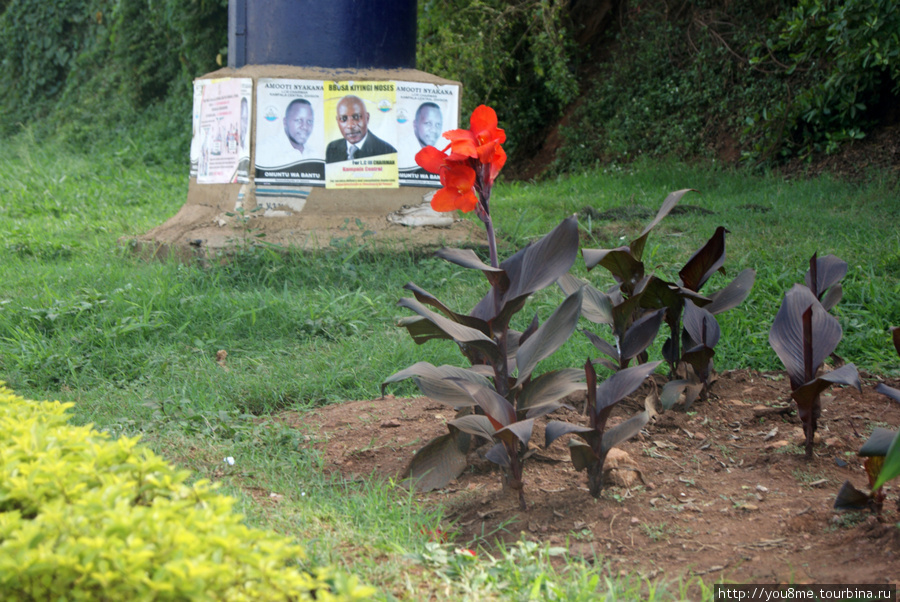 реклама у клумбы Кампала, Уганда