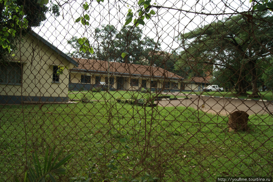 дом за оградой Кампала, Уганда