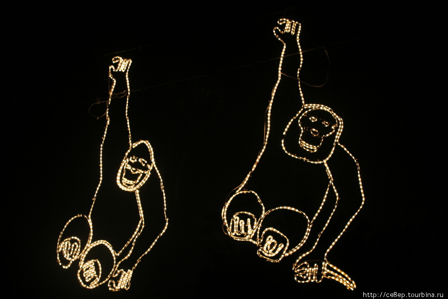 Светящиеся обезьяны завлекают в зоопарк Браунсвилл, CША