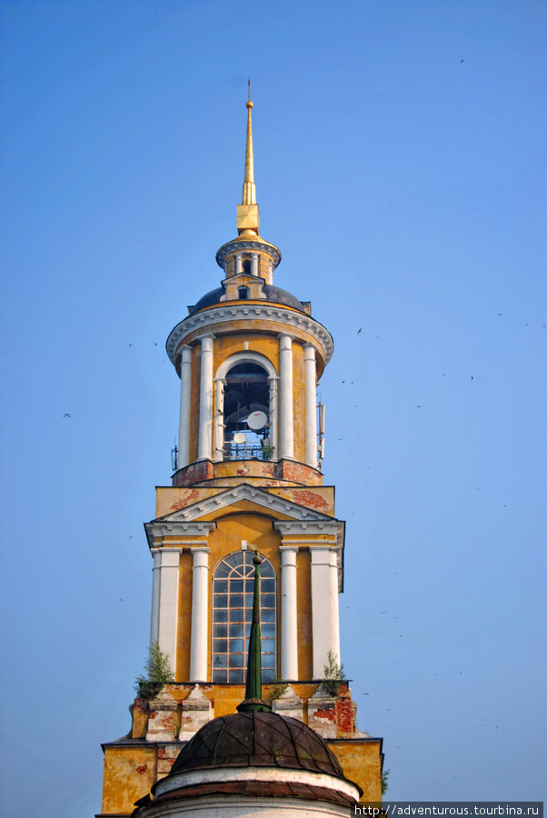 Колокольня Ризоположенского монастыря стала местом гнездования стрижей и ласточек.