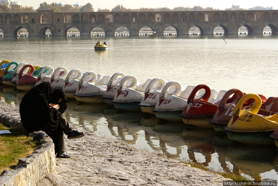 Прогулочные лебеди на реке Зяанде Исфахан, Иран