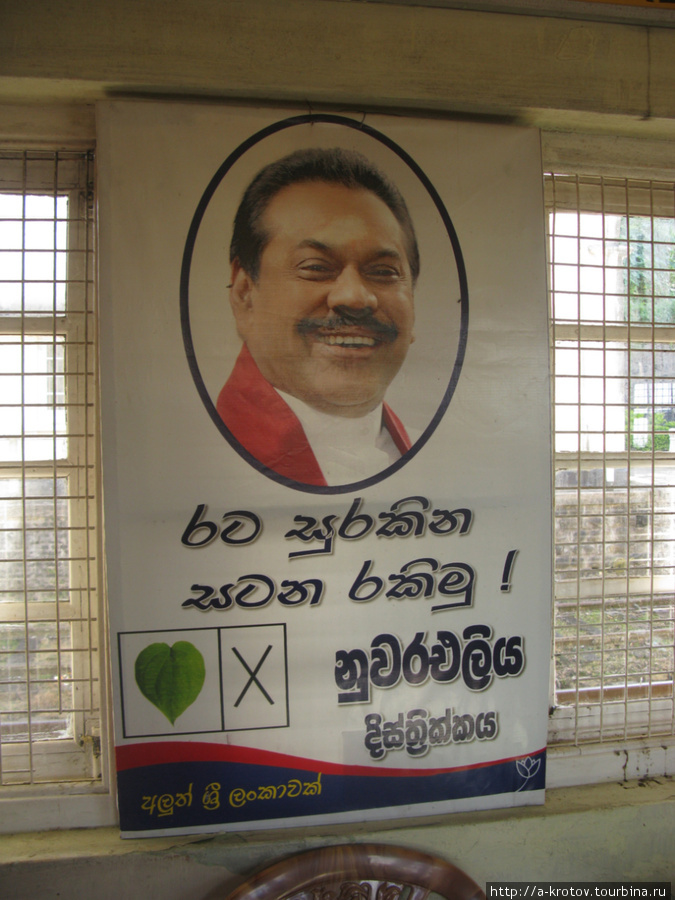 Президент тоже рекламирует чай (на его избирательном плакате лист. Чайный, наверное?) Хаттон, Шри-Ланка