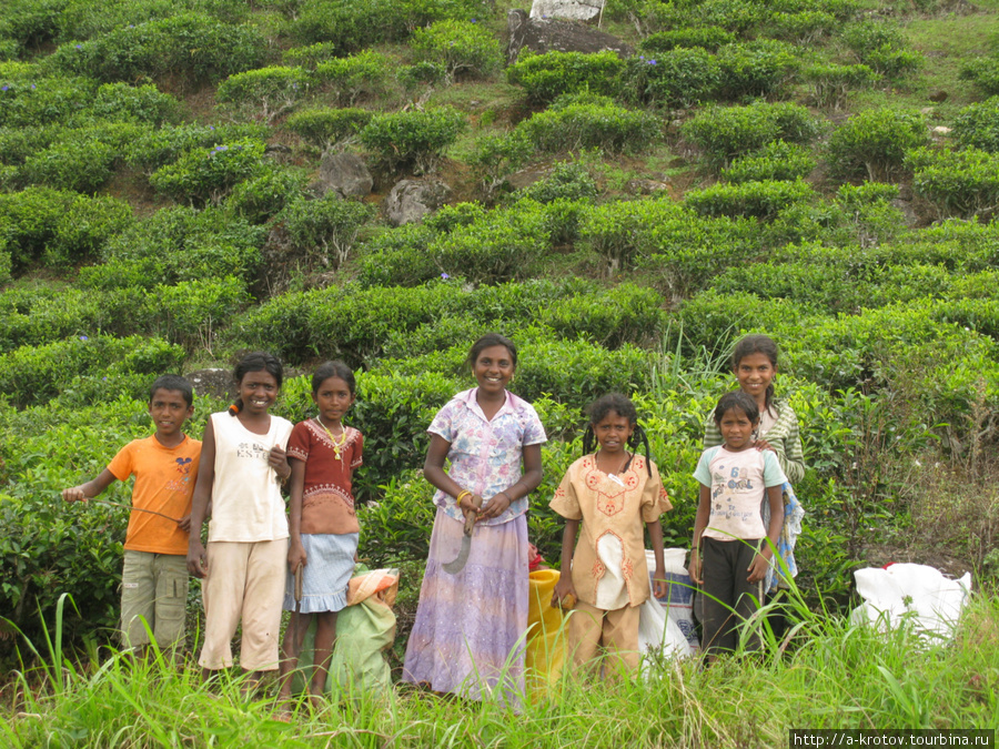 Нану Ойя - Хаттон, по рельсам и деревням центральн.Шри-Ланки