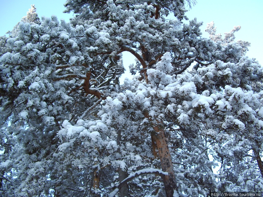 Сказочно-снежный Урал