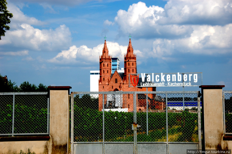За оградой церковь Богоматери и её знаменитые виноградники,где производится великолепное вино-Liebfrauenmilch(Молоко Богоматери). Вормс, Германия