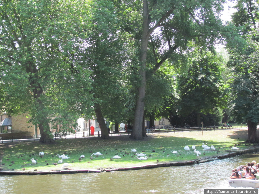 Брюгге - сказка на воде Брюгге, Бельгия