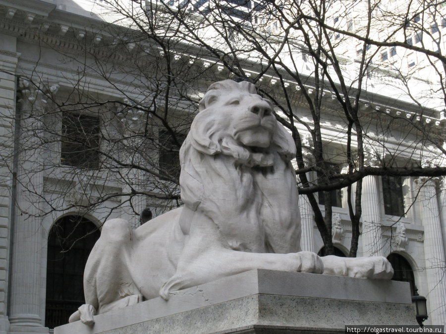 Символ Библиотеки — лев. Нью-Йорк, CША