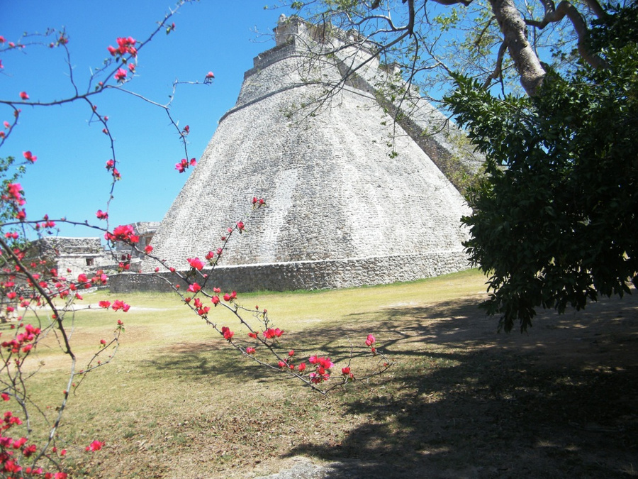 Пирамида и цветы Ушмаль, Мексика